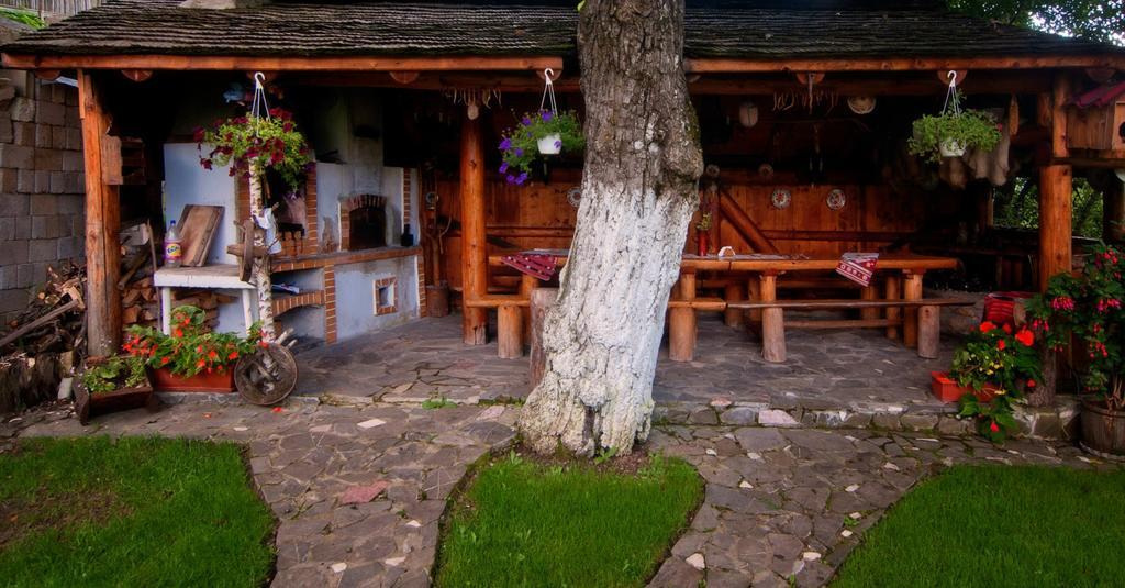 Pension Casa Contelui Risnov Exterior photo